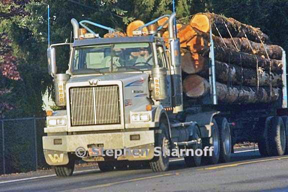 log truck 3518c graphic